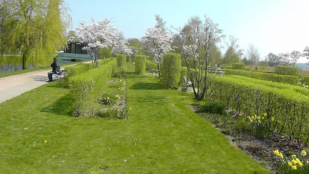 Domhotel Bed & Breakfast Schleswig Exterior foto